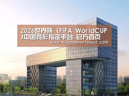 案例展示四
