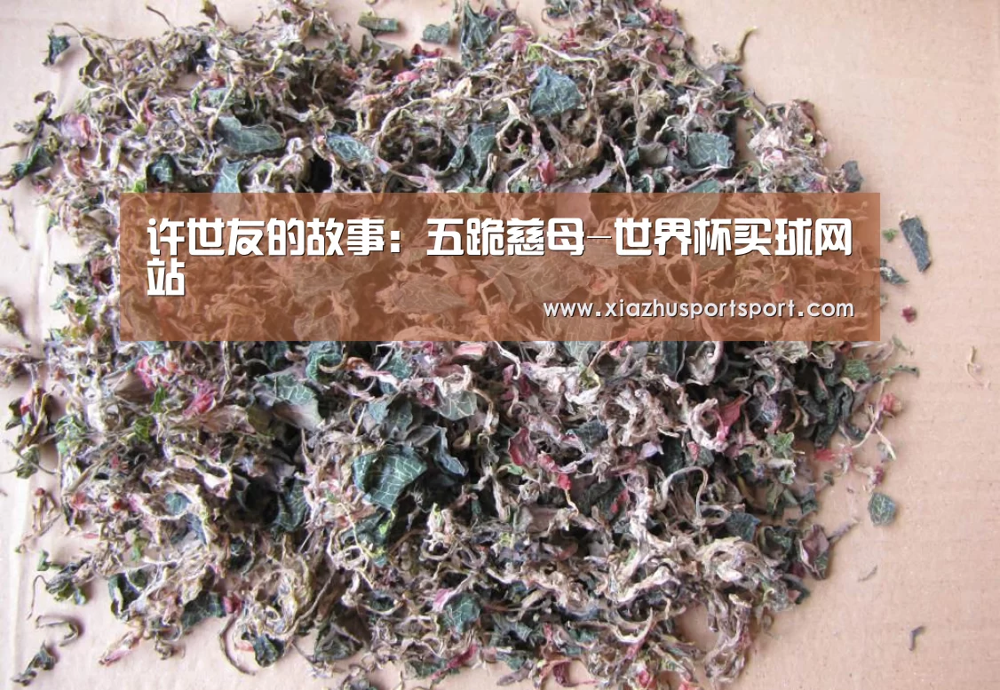 许世友的故事:五跪慈母-世界杯买球网站(图1) 世界杯买球平台